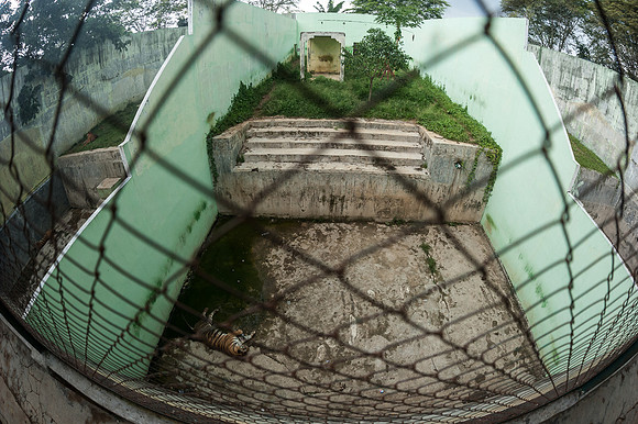 Medan Zoo, North Sumatra, Indonesia