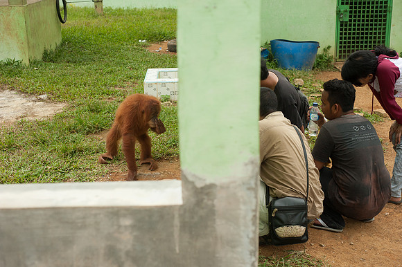 Medan Zoo, North Sumatra, Indonesia