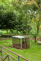 Medan Zoo, North Sumatra, Indonesia