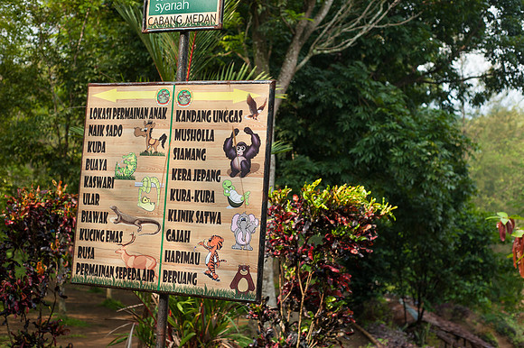 Medan Zoo, North Sumatra, Indonesia