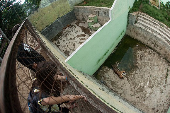 Medan Zoo, North Sumatra, Indonesia