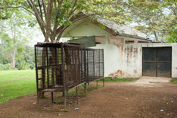 Medan Zoo, North Sumatra, Indonesia