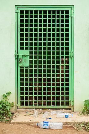 Medan Zoo, North Sumatra, Indonesia