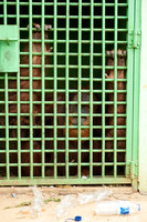 Medan Zoo, North Sumatra, Indonesia