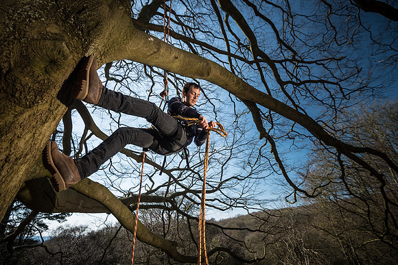 UK Weather. Tree climbing in Shotover Forest, Oxford, UK